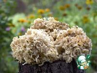Коралловый или ледяной гриб с кальмаром ингредиенты