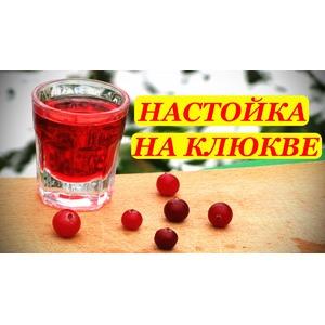 Настойка на клюкве, домашний рецепт