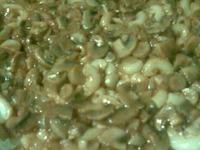 Запеканка из макарон с грибами ингредиенты