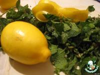 Настойка лимонно-мятная ингредиенты