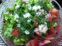 Шашлык куриный домашний с салатом ингредиенты