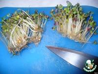 Свежий салатик из ростков и креветок ингредиенты