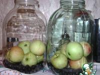 Компот из яблок и черной рябины ингредиенты