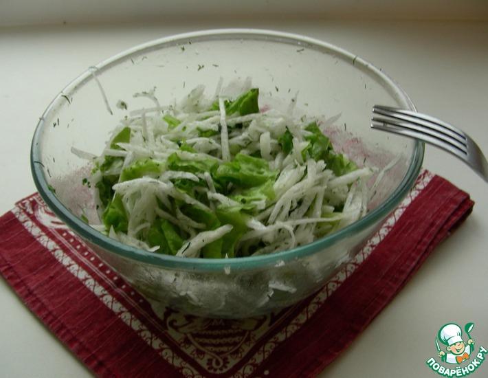 Рецепт: Салат из белой редьки с зеленью