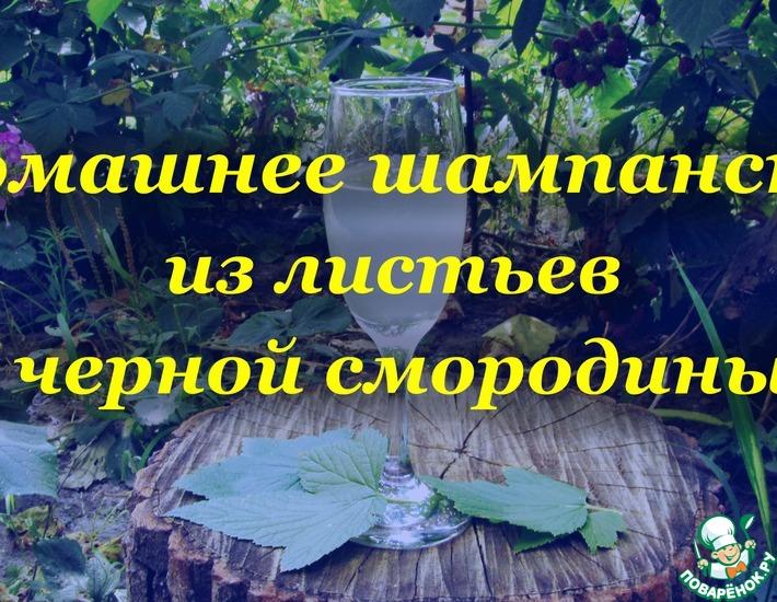 Рецепт: Домашнее шампанское из листьев черной смородины