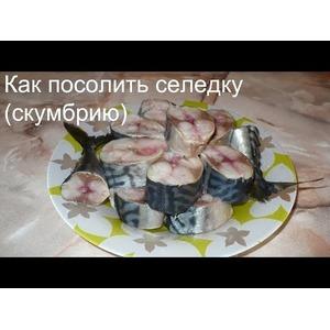 Рецепт вкусной соленой селедки или скумбрии