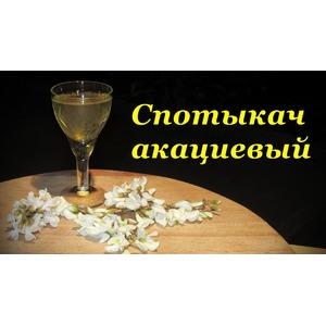 Спотыкач акациевый, рецепт приготовления