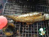 Рыба горячего копчения в походных условиях ингредиенты