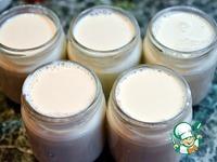 Домашний йогурт из топленого молока с корицей ингредиенты