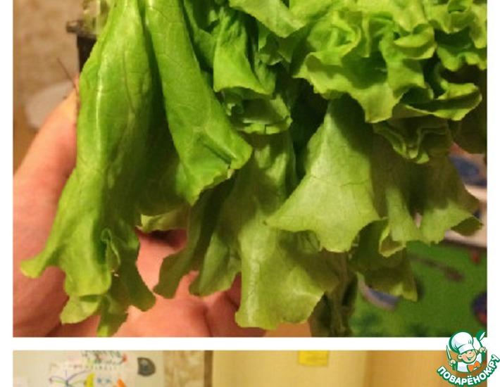 Как реанимировать зеленый салат