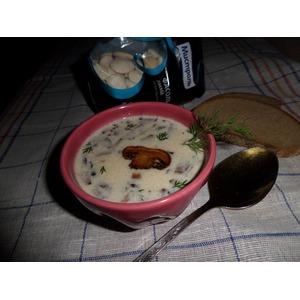 Суп с белой фасолью и грибами