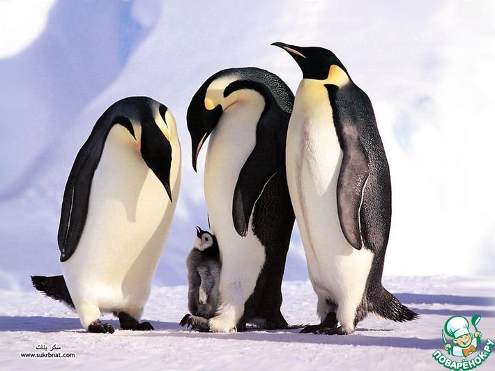 Я - неродивший пингвин.
