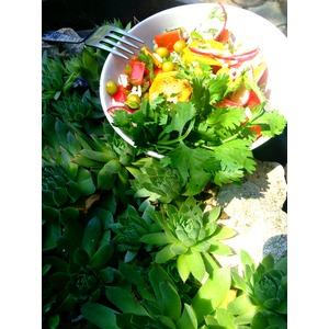Салат с рисом и летними овощами