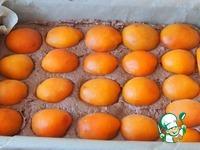 Шоколадный абрикосовый пирог ингредиенты
