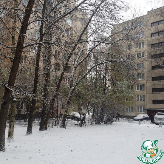 Первый снег в Санкт-Петербурге