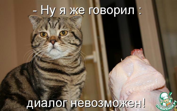 Смешные коты, собаки! И не только!)))