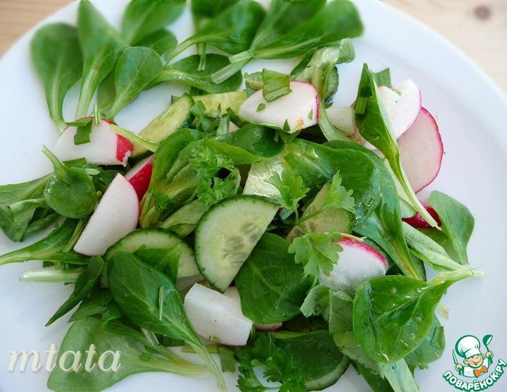 Рецепт: Полевой салат с огурцом и редисом