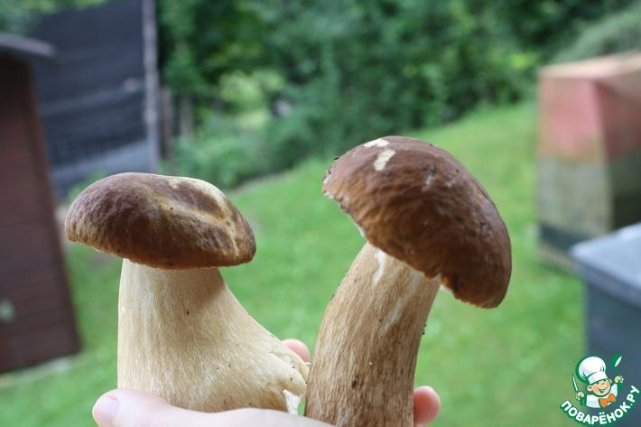 Урааа у нас грибы появились!!!