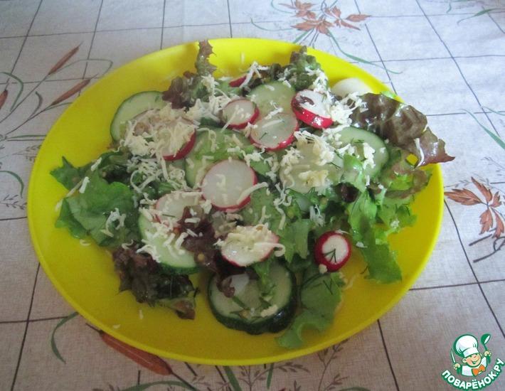 Рецепт: Салат с редисом и огурцом
