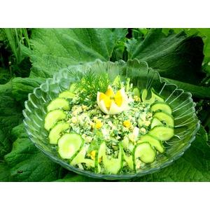 Зелёный дачный салат