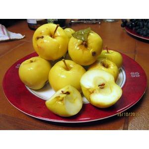 Мочёные яблоки с мёдом и специями