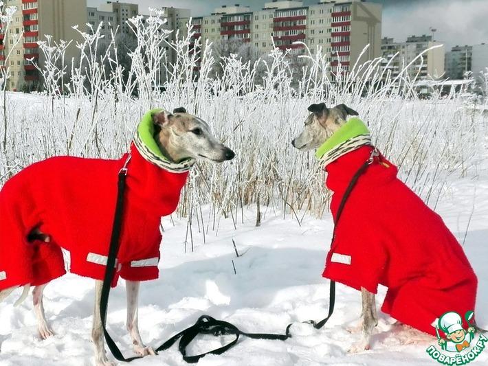 Джекунечка и Реечка