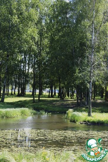 Прогулки по Петербургу. Парк Есенина.