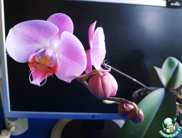 Сюрприз от орхидеи №2