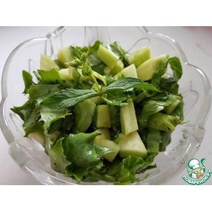 Зеленый салат с огурцом