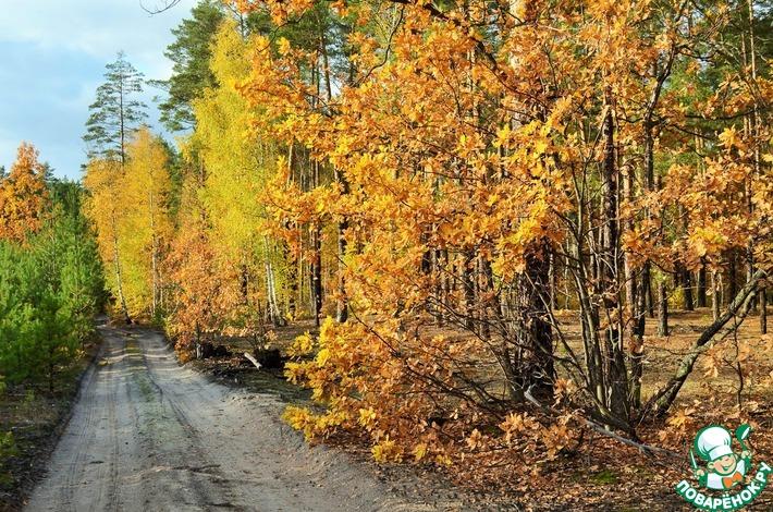 ОСЕНЬ в ГОСТИ ПРИГЛАШАЕТ, ЧАЮ ВЫПИТЬ, ПОГУЛЯТЬ, ПОГОВОРИТЬ! отчёт 106.