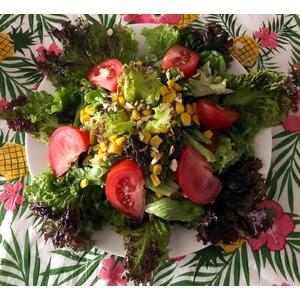 Краснолистовой салат с помидорами и кукурузой