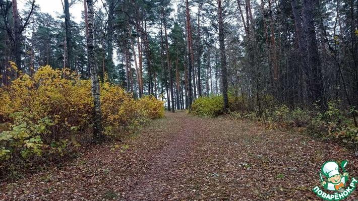 Прогулка в осень