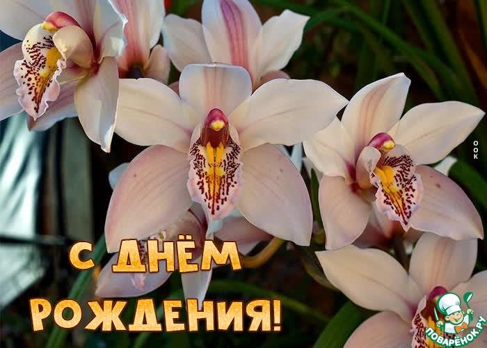 Наши поздравления с Днем рождения Ирочке ( Орхидея-2917).