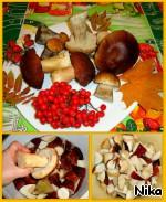 Мясо с овощами и белыми грибами в горшочке ингредиенты