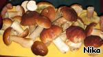Мясо с овощами и белыми грибами в горшочке ингредиенты
